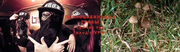mdpv Аркадак