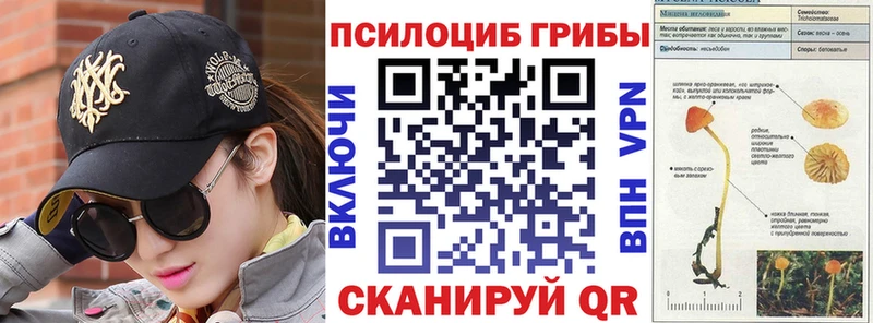 Купить где  Опочка  Галлюциногенные грибы мицелий 